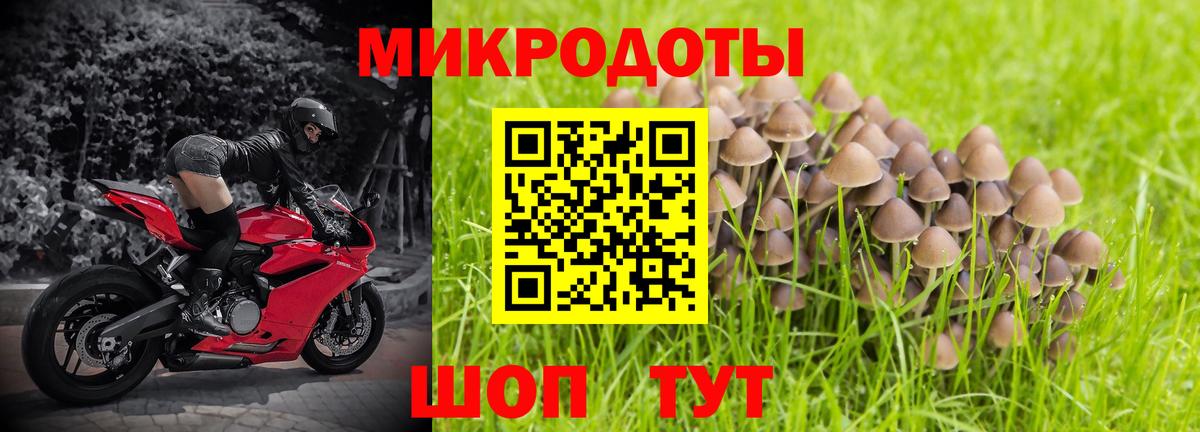 Шали  Псилоцибиновые грибы мицелий  Вход с VPN 